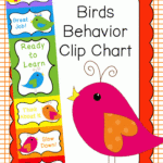 Behavior Clip Chart Behavior Management BIRDS Boho Birds
