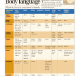 Use This Body Language Chart To Understand Your Horse s Mood Through