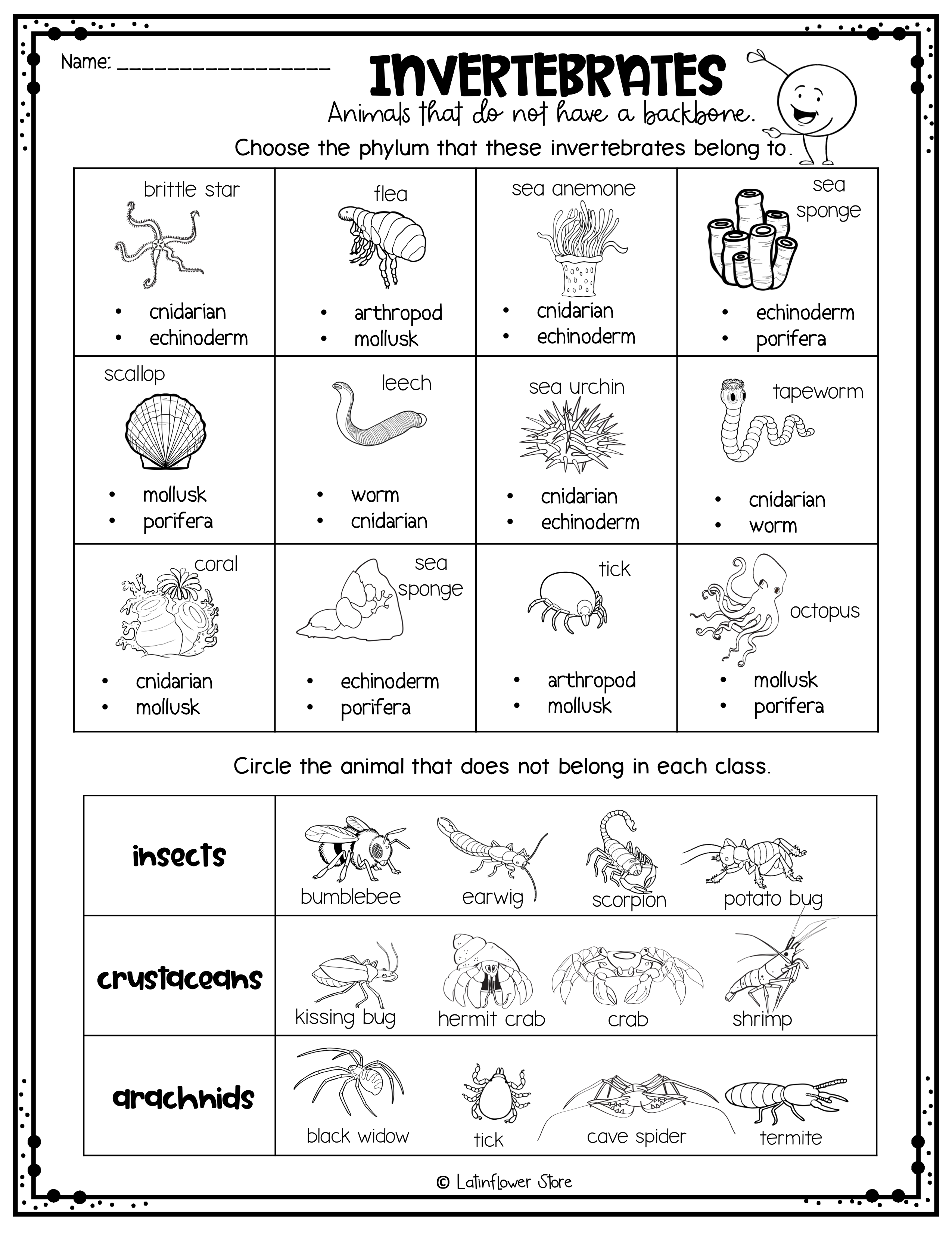 Vertebrates Invertebrates Interactive Notebook Worksheet 